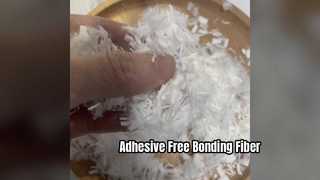Fibre de liaison bicomposant sans adhésif 2D*6MM, fibre stable thermofusible pour filtre et automobile
