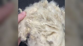 Fibre recyclée écologique à faible point de fusion 4D × 51 mm, bonne liaison blanc cassé pour la production textile