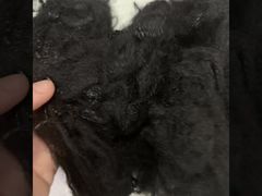 Fibre creuse 2D recyclée native 2,5D*64 mm