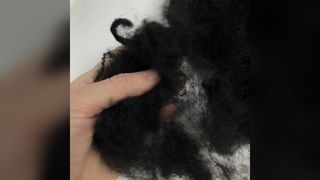 Fibre de polyester ignifuge recyclée noire 12D×64mm