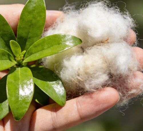 Dernières nouvelles de l'entreprise Les fibres creuses noires et blanches: le choix idéal pour la fabrication textile et industrielle