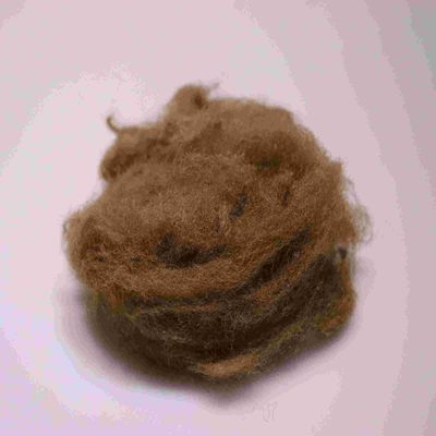 acheter Eco-friendly 4080 Polyester Fibres d'accouplement Marron Confortable Polyester courte fibre fabrication en ligne