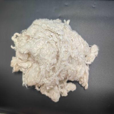 Un bon prix. Fibre végétale naturelle respectueuse de l'environnement 3D × 51 mm Fibre végétale de lavande Fibre de moutarde en ligne