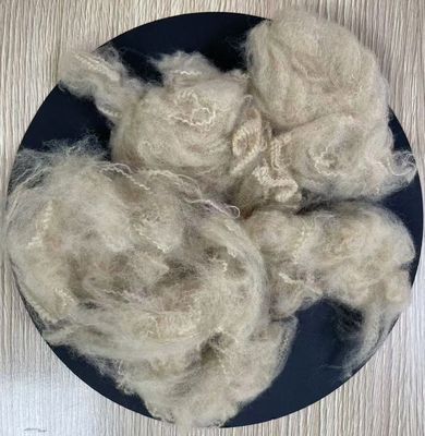 Un bon prix. Fibre d'étape de polyester recyclé 5D 51mm Beige de qualité A en ligne