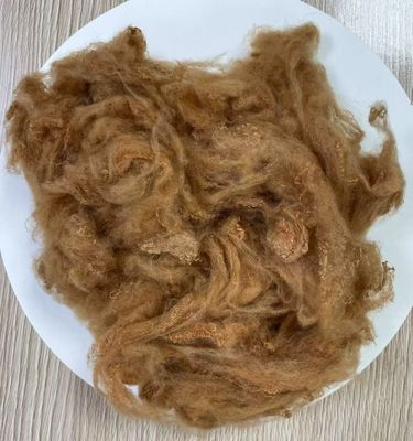 Un bon prix. Fibre de polyester recyclée 2.5D 51mm Camel jaune en ligne