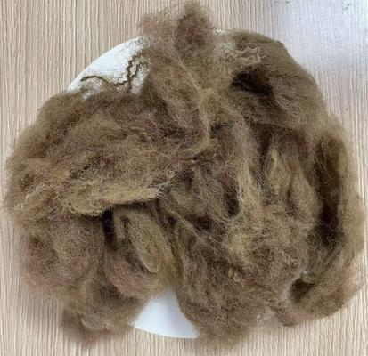 Un bon prix. Fibre d'étagère en polyester recyclé à faible allongement 25D 65mm couleur de chameau profonde en ligne