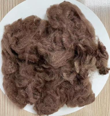 Un bon prix. Couleur de café en fibre de base de polyester recyclé 2.5D 51mm en ligne