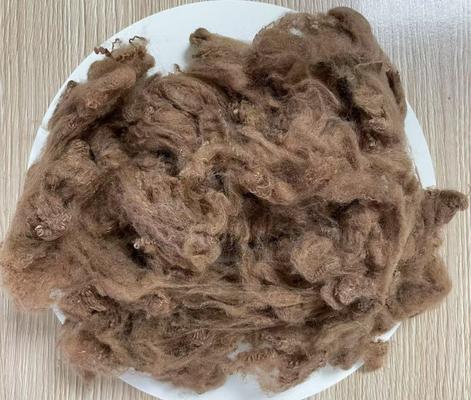 Un bon prix. Polyester recyclé à base de fibres 2.5D 51mm café jaune haute résistance aux rides en ligne