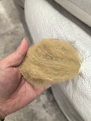 Un bon prix. Fibre d'étape de polyester recyclé 6D 51mm Beige à faible allongement en ligne