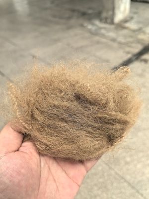Un bon prix. Fibre de polyester recyclé 6D 51mm Camel Haute résistance à la déchirure en ligne