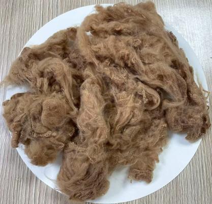 Un bon prix. Polyester recyclé à base de fibre 1.5D 38mm Camel léger en ligne