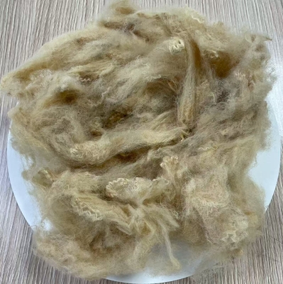 Un bon prix. 6D Polyester recyclé à base de fibres 51mm Beige haute ténacité en ligne