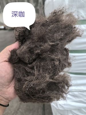 Un bon prix. Fibre de polyester recyclé à fibres discontinues 3D 51mm Café foncé en ligne