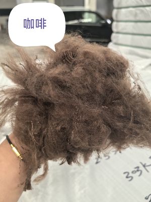 Un bon prix. Polyester recyclé à base de fibres 3D 51 mm non siliconées en ligne