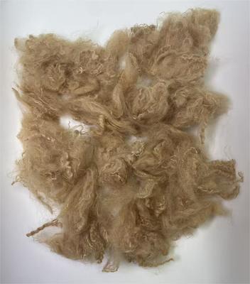 Un bon prix. Fibre de polyester recyclé à fibres courtes avec une longueur de coupe de 38-64 mm, haute résistance à la déchirure et reprise d'humidité de 0,4 % en ligne