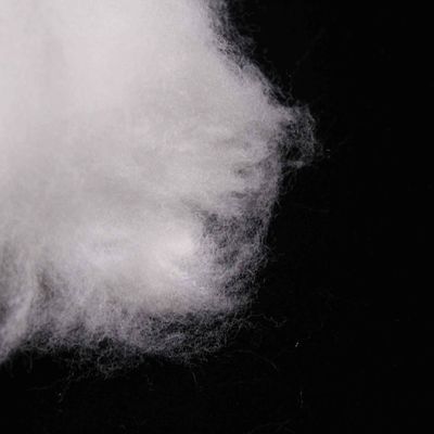 Un bon prix. Propylène côte à côte Polyester artificiel léger en ligne