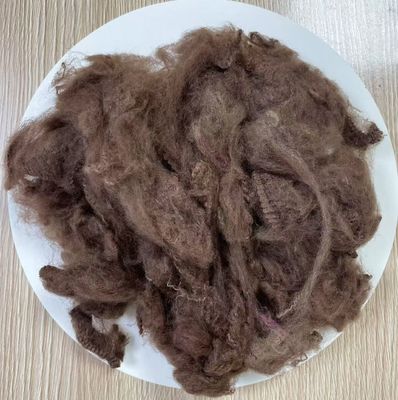 Un bon prix. Fibre de polyester recyclé en fibres discontinues 2.5D 51mm Café foncé en ligne