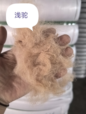 Un bon prix. Fibre de polyester recyclé en agrafes 3D 51mm résistant aux UV en ligne